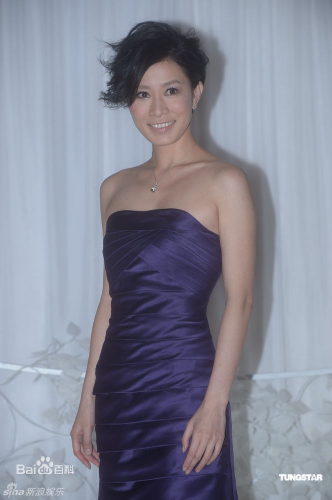 最优质佘诗曼(Charmaine Sheh)精彩图册