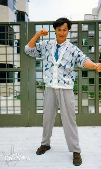 许冠杰(Samuel Hui)的年轻时代图片图集