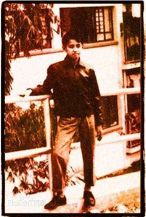 谭咏麟(Alan Tam)曾经年少性感图片图集