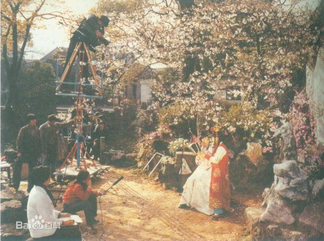 最全王扶林(Wang Fulin)在与《红楼梦》剧组中的壁纸