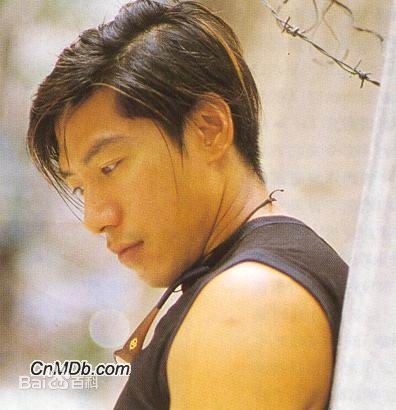 张耀扬(Roy Cheung)高清艺术照图册