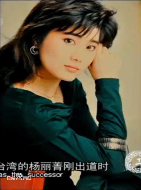 最全杨丽菁(Cynthia Khan)在2011《华人世界》专访中的相册