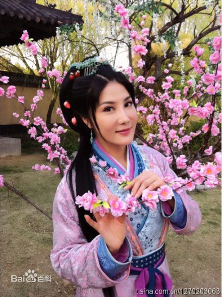 杨丽菁(Cynthia Khan)2011年《花木兰传奇》剧照