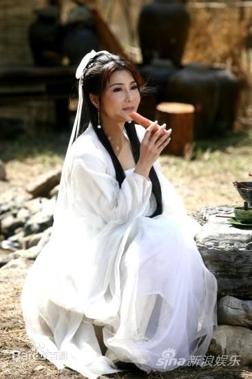 高清杨丽菁(Cynthia Khan)在2010年《大玩家》中的图册