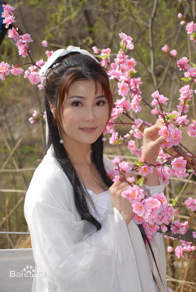 高清杨丽菁(Cynthia Khan)在2010年《大玩家》中的图册