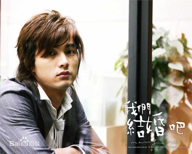 贺军翔(Mike He)我们结婚吧唯美书