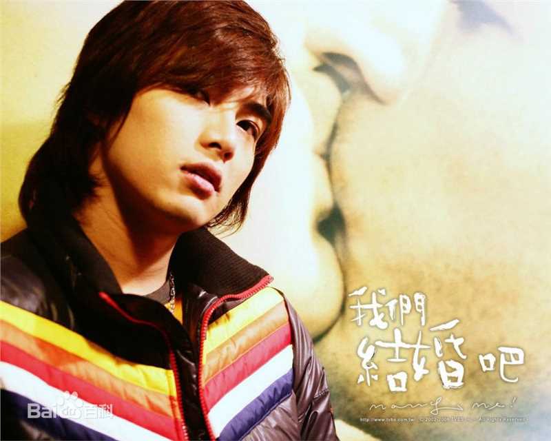 贺军翔(Mike He)我们结婚吧唯美书