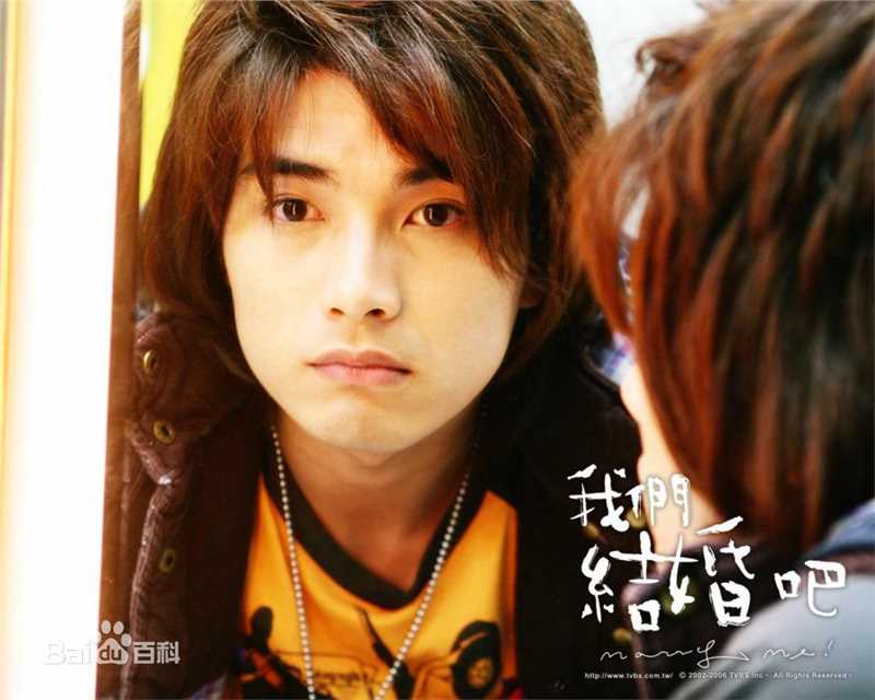 贺军翔(Mike He)我们结婚吧唯美书