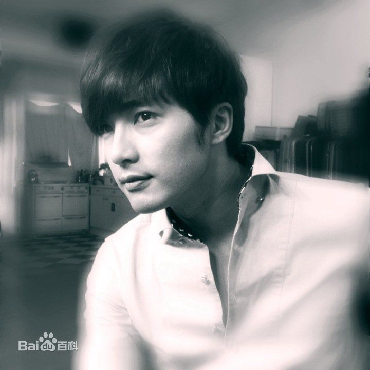 最全贺军翔(Mike He)素颜照