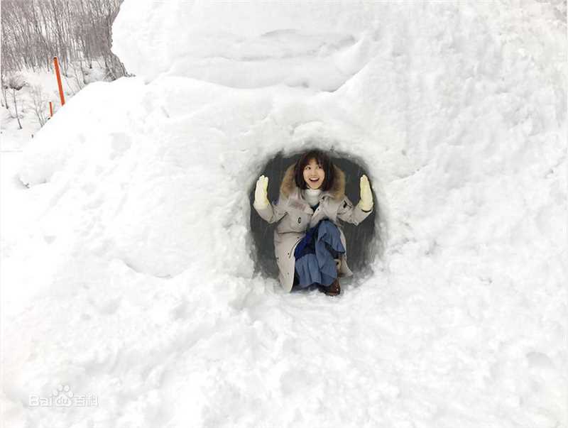 颜卓灵(Cherry Ngan)演艺经历素颜照相册
