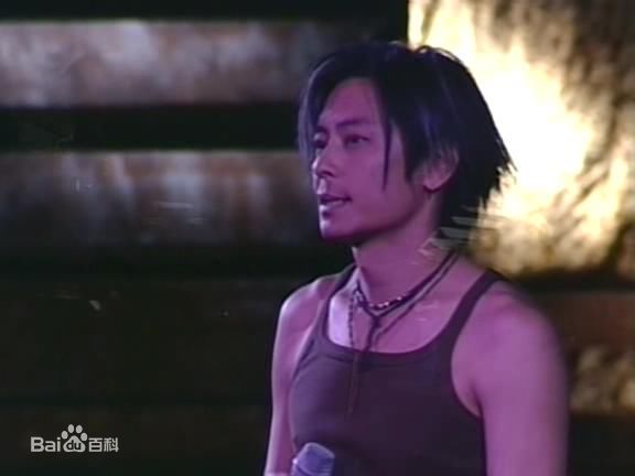 王杰(Dave Wang、Wang Chieh)2001年香港演唱会图片图集