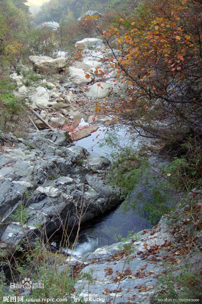 最全李凤绪素颜照