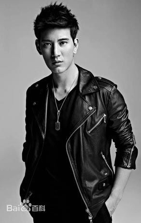 蒲巴甲(Purba Rgyal)忧郁前后照片