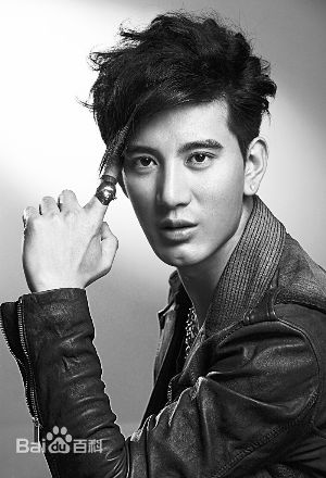 蒲巴甲(Purba Rgyal)忧郁前后照片