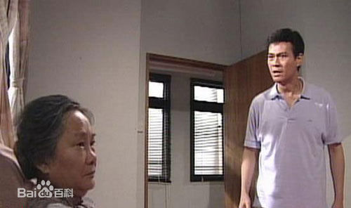 精选杨羚(Carol Yeung)在《大时代》风采中的图册