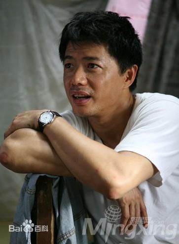 精选杨羚(Carol Yeung)在《大时代》风采中的图册