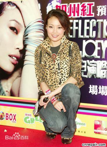 容祖儿(Joey Yung)演唱会照片前后照片