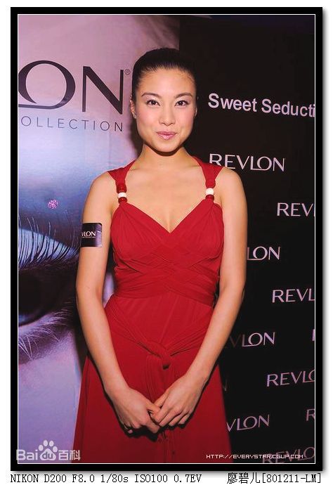 廖碧儿(Bernice Jan Liu)出席活动壁纸壁纸