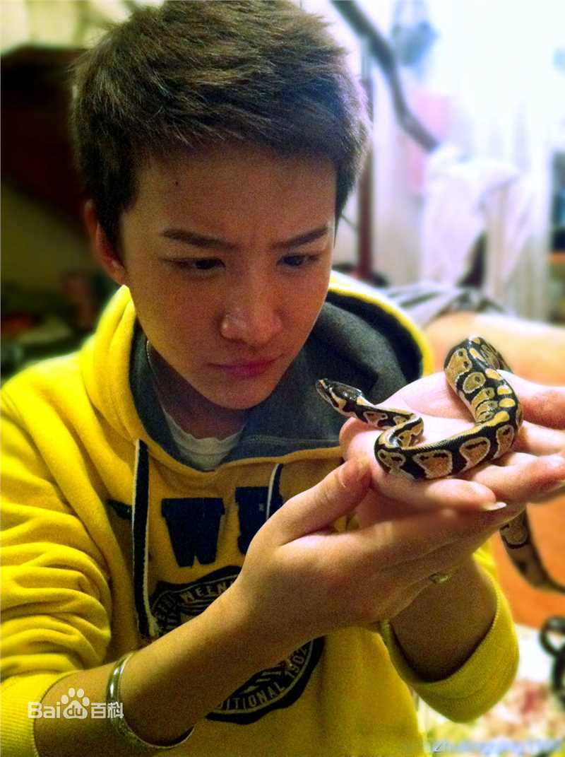 卢卓生活照壁纸壁纸
