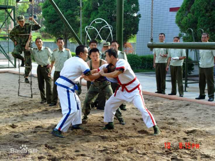 高清张政勇(Arm)在《十三省》《雄关漫道》《敌后武工队》等中的图集