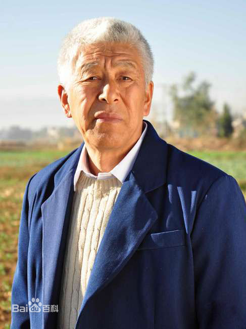 最新张洪杰壁纸