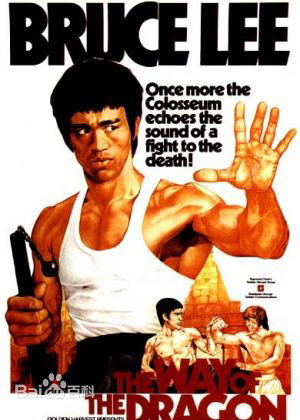 最全李小龙(Bruce Lee(英语)、ブルース.リー(日语)、 (朝鲜语))壁纸