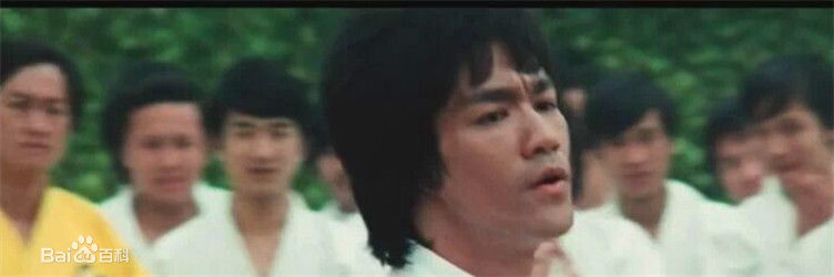 最全李小龙(Bruce Lee(英语)、ブルース.リー(日语)、 (朝鲜语))壁纸