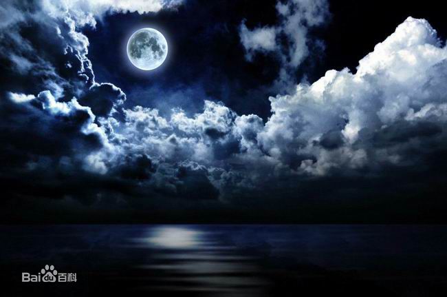 最全李小龙(Bruce Lee(英语)、ブルース.リー(日语)、 (朝鲜语))壁纸