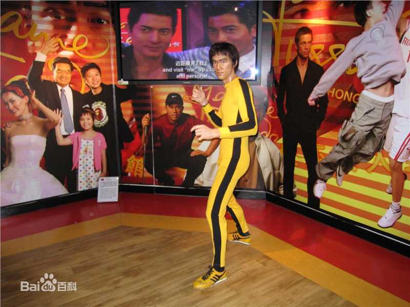 最全李小龙(Bruce Lee(英语)、ブルース.リー(日语)、 (朝鲜语))壁纸