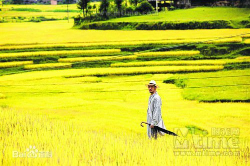 王羽《武侠》精选剧照
