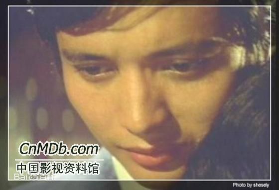 秦祥林(Charlie Chin)早期最全剧照