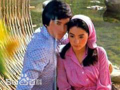 秦祥林(Charlie Chin)主演影视剧精选海报图册