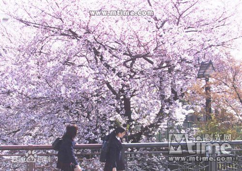 岩井俊二(いわい しゅんじ(Shunji Iwai))《花与爱丽丝》最优质剧照