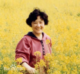 最全史蜀君壁纸