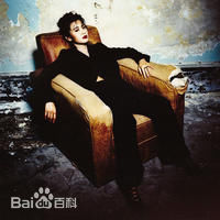 精选陈雅伦(Ellen Chan)在1994专辑《贪多个夜晚》中的图册