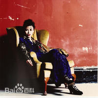 精选陈雅伦(Ellen Chan)在1994专辑《贪多个夜晚》中的图册