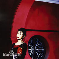 精选陈雅伦(Ellen Chan)在1994专辑《贪多个夜晚》中的图册