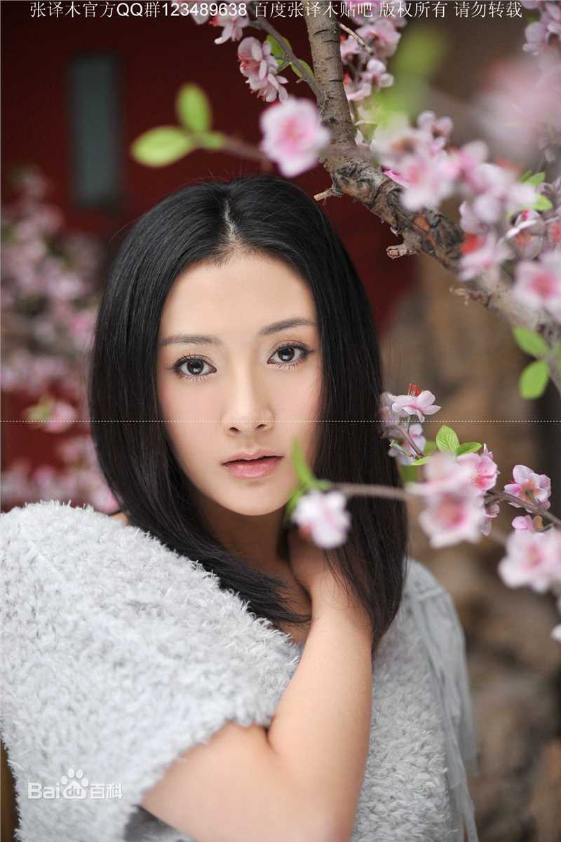 张译木最全木木集壁纸