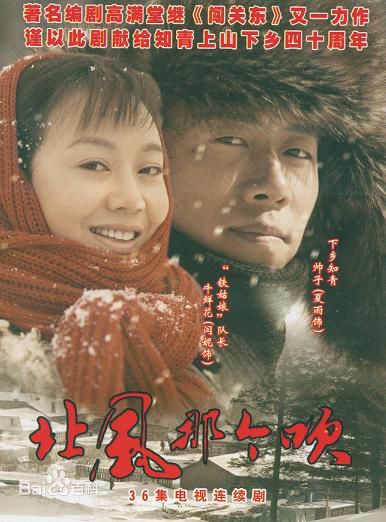 最全闫妮(NI YAN)壁纸