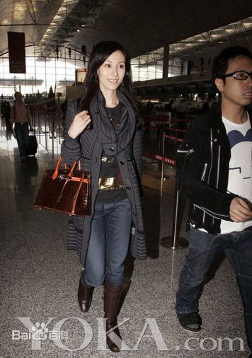 李嘉欣(Michele Monique Reis)精彩图册2