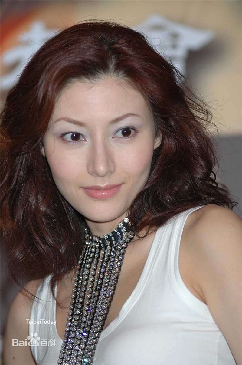 最优质李嘉欣(Michele Monique Reis)在《花魁杜十娘》宣传中的相册