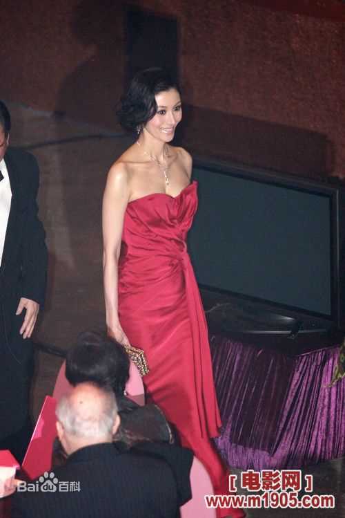 李嘉欣(Michele Monique Reis)担任09年港姐评委生活照相册