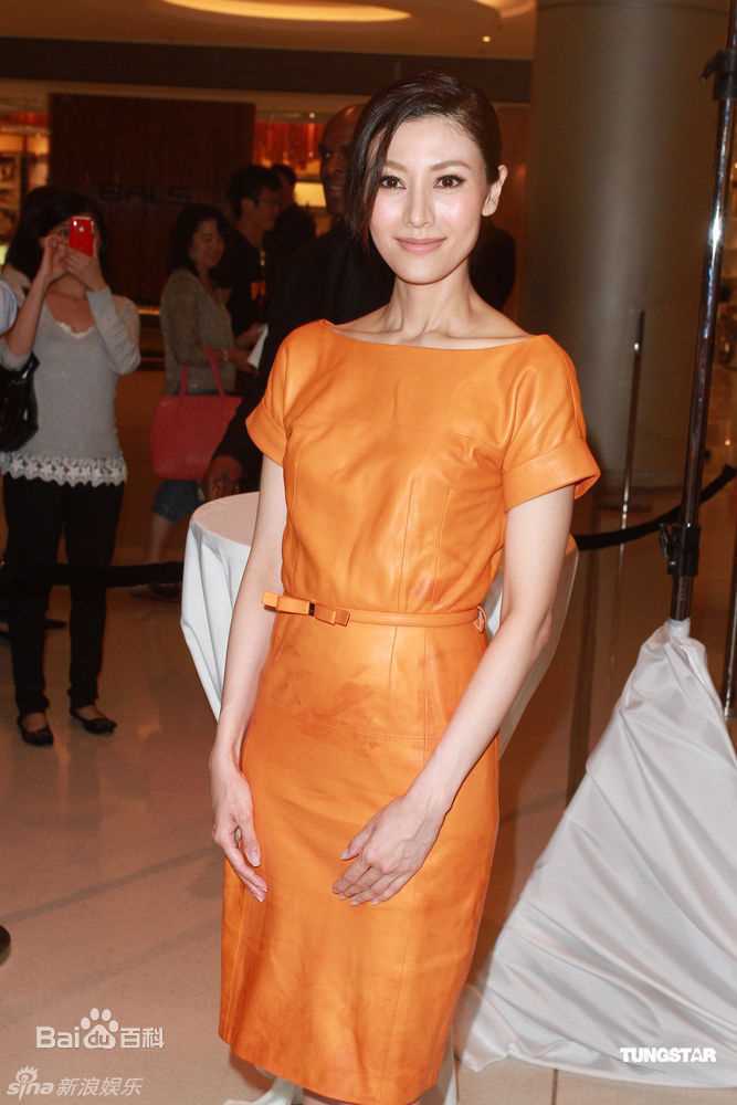 最优质李嘉欣(Michele Monique Reis)精彩图册