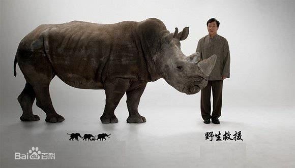 成龙(Jackie Chan)保护动物公益活动素颜照相册