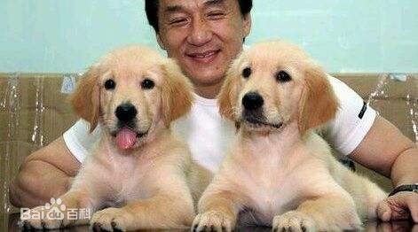 成龙(Jackie Chan)保护动物公益活动素颜照相册