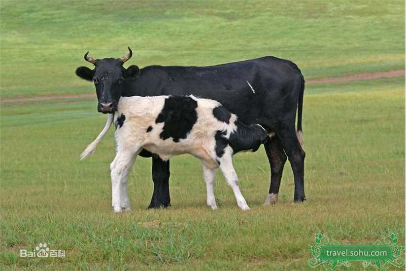 高清奥利弗·斯通(Oliver Stone)精彩图册