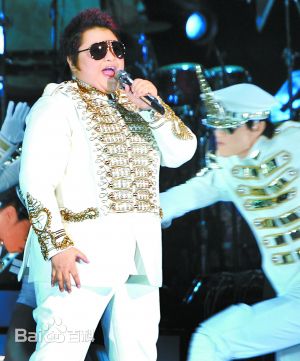 韩红(Han Hong)演出照素颜照壁纸