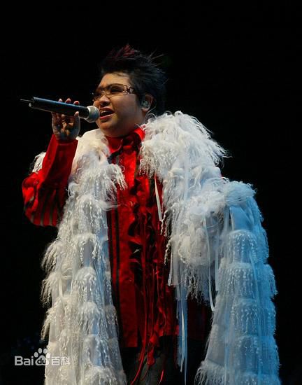 韩红(Han Hong)演出照素颜照壁纸