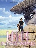 精选叶世荣(Yip Sai Wing)