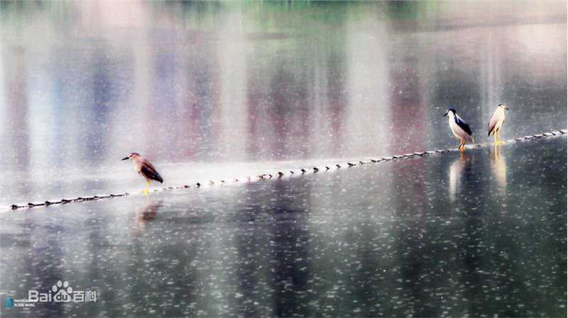 最全岳虹(汉族)素颜照